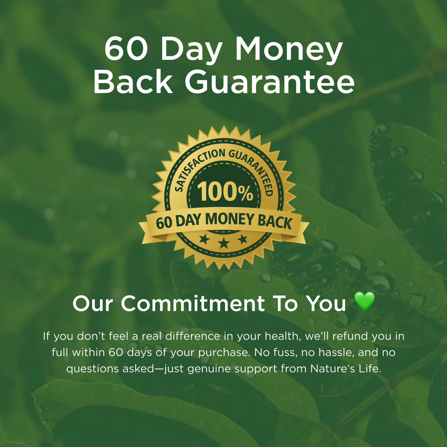 Moringa Leaf 2400mg
